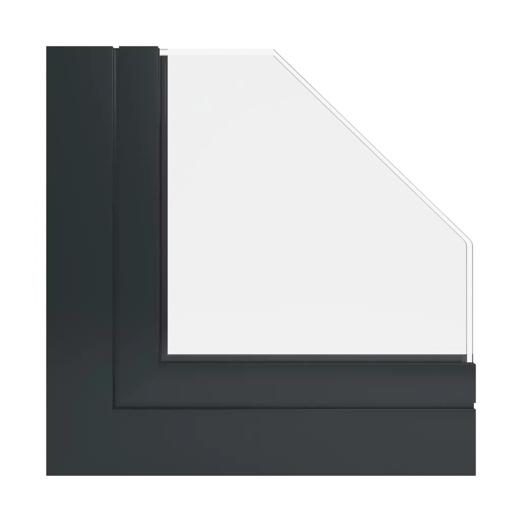 RAL 9017 Traffic black windows window-colors aluprof-colors 